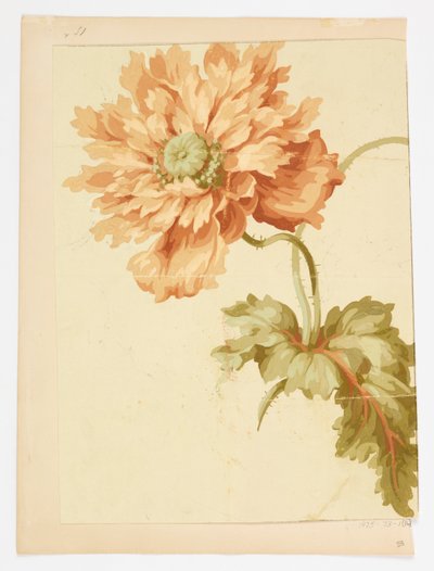 Výkres od Unknown artist