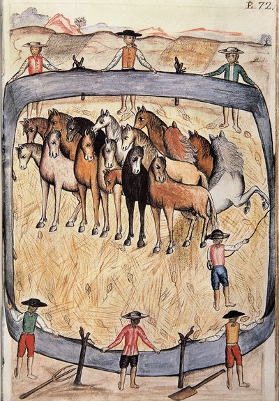 Drezura divokých koní, z knihy „Trujillo del Peru“ nebo „Códice Martínez Compañón“, od Baltazara Martineze Compañóna y Bujandy, biskupa z Trujillo (1782-1785) od Unknown artist