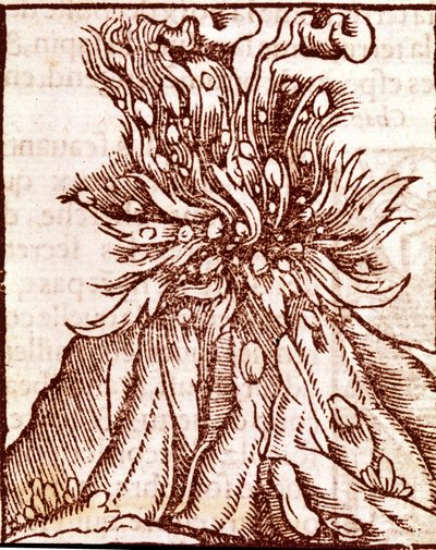 Erupce sopky. rytina 16. století. od Unknown artist