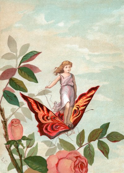 Víla jedoucí na motýlovi mezi růžemi od Unknown artist