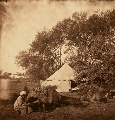 [Faiyum Oasis] od Unknown artist