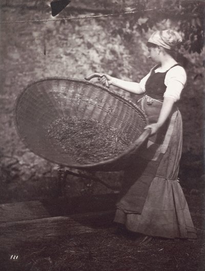 [Rolnice s košem na mláto] od Unknown artist