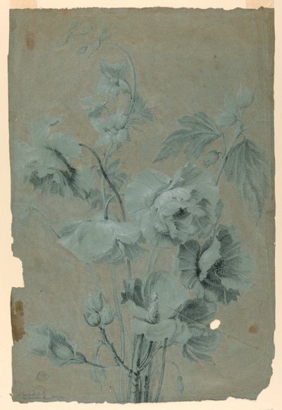 květinový design od Unknown artist