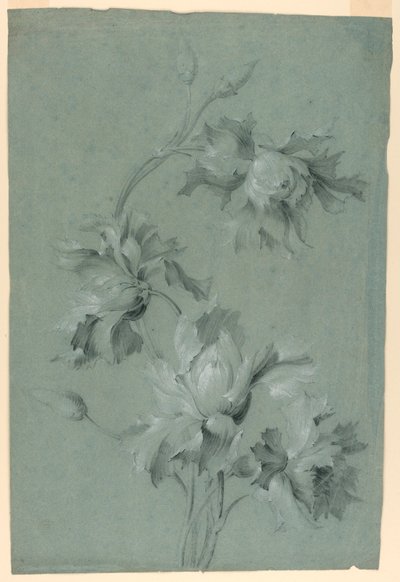 květinový design od Unknown artist