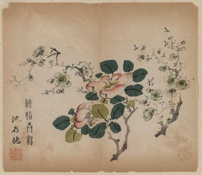 Kvetoucí Prunus od Unknown artist