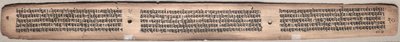Folio 20 (verso), z Gandavyuha-sutry (Písmo Nejvyšší řady) od Unknown artist