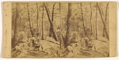 [Fontainebleau] od Unknown artist