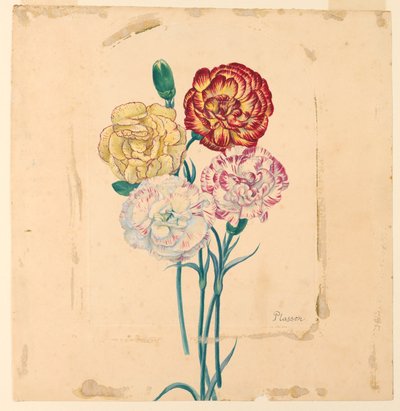 Čtyři karafiáty od Unknown artist