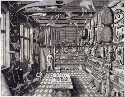 Frontispice „Musei Wormiani Historia““ ukazující interiér kabinetu kuriozit Oleho Worma nebo Olause Wormia od Unknown artist