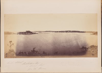 Garden Island, Rushcutters Bay a Darling Point z oblasti Domain od Unknown artist