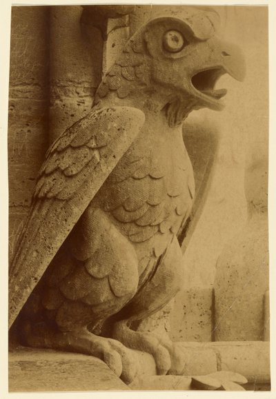[Gargoyle, Notre-Dame] od Unknown artist