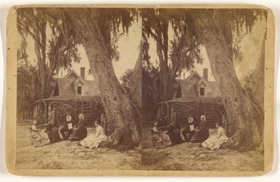 [H(arriet) B(eecher) Stowe doma na Floridě] od Unknown artist