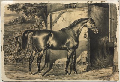 Kůň před stodolou (verze) od Unknown artist