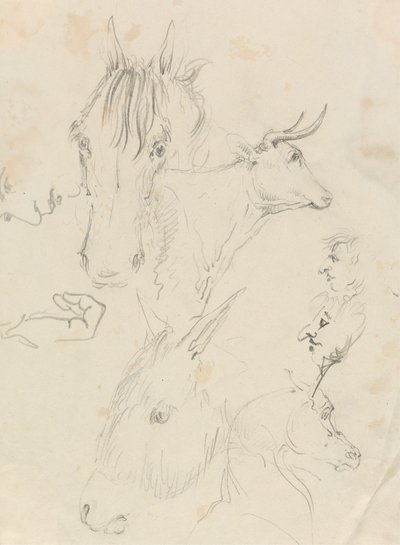 Koně, kráva a muži od Unknown artist