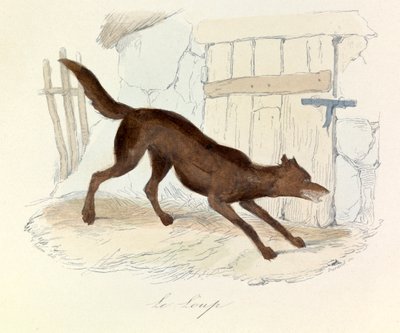 Ilustrace z knihy "Complete Works of Buffon": Les animaux: Le loup (rytina) od Unknown artist
