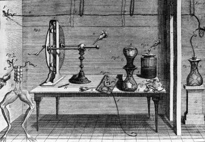 Ilustrace experimentů Luigiho Galvaniho, italského fyzika a lékaře (1737 - 1798) vysvětlujících průchod elektrického proudu pohybujícím se nohama žáby. od Unknown artist