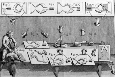 Ilustrace experimentů Luigiho Galvaniho, italského fyzika a lékaře (1737 - 1798) vysvětlujících průchod elektrického proudu pohybujícím se nohama žáby. od Unknown artist