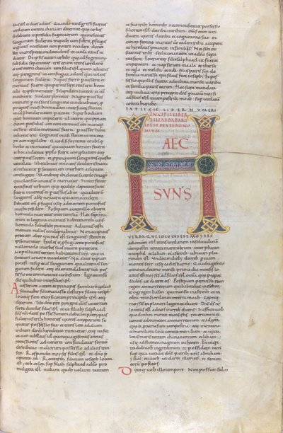 Incipit knihy Deuteronomium, Capulettera s nápisem Haec sun, 11. století (miniatura, blánový rukopis) od Unknown artist