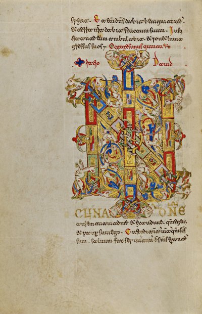 Obydlené Iniciály IN od Unknown artist