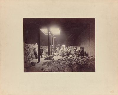[Interiér třídírny vlny, Walter Brown and Company] od Unknown artist