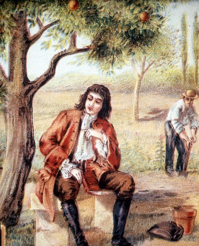 Isaac Newton (1642-1727), anglický matematik, fyzik a astronom, nachází teorii gravitace pozorováním pádu jabloně, což je ilustrace 19. století. od Unknown artist