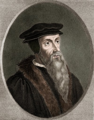 John Calvin - Jean Calvin 1509-1564 - rytina - 19. stol. od Unknown artist