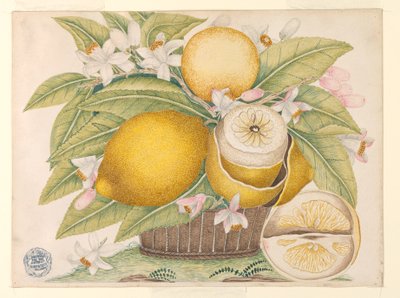 Citrony a citronové květy v košíku od Unknown artist