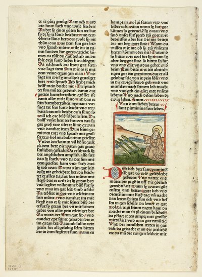Život svatého Pirminia z Heiligenleben, Winterteil (Životy svatých, Zimní čas), deska 1 z dřevořezů z knih 15. století od Unknown artist