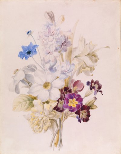 Narcis a jiné květiny od Unknown artist