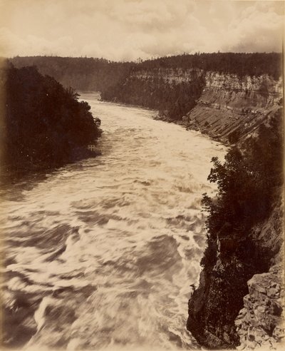 Niagara od Unknown artist