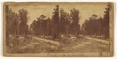 [Prkenná cesta do Lowelly] (recto); [Neznámé město] (verso) od Unknown artist