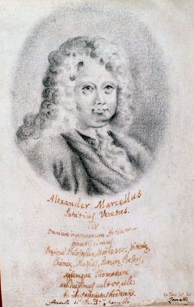 Portrét Alessandra Marcella (kresba) od Unknown artist
