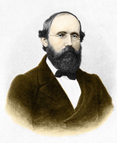 Portrét Bernharda Riemanna (1826-1866.) německého matematika od Unknown artist