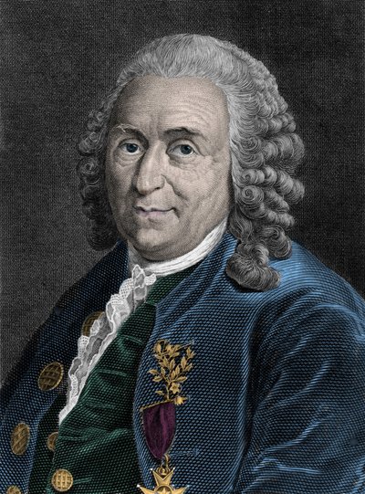 Portrét Charlese Linna (Carl von Linne, Linneus 1707-1778), švédského přírodovědce. Rytina 19. století. od Unknown artist