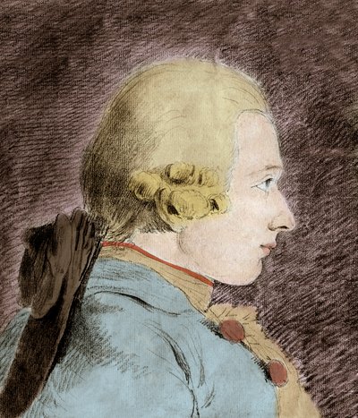 Portrét Donatian Alphonse Francois de Sade (1740-1814) (Marquis de Sade) - podle Van Loo od Unknown artist