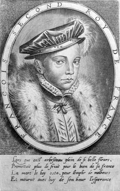 Portrét Francoise II (1544 - 1560), krále Francie. od Unknown artist