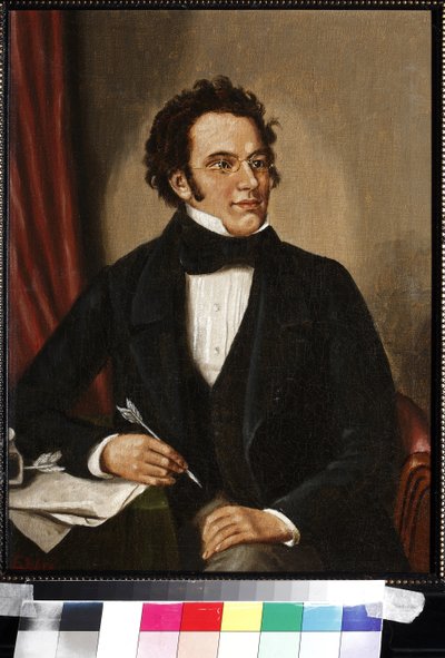 Portrét Franze Schuberta (olej na plátně) od Unknown artist