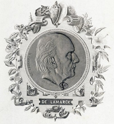 Portrét Jean Baptiste Lamarck - rytina od Unknown artist