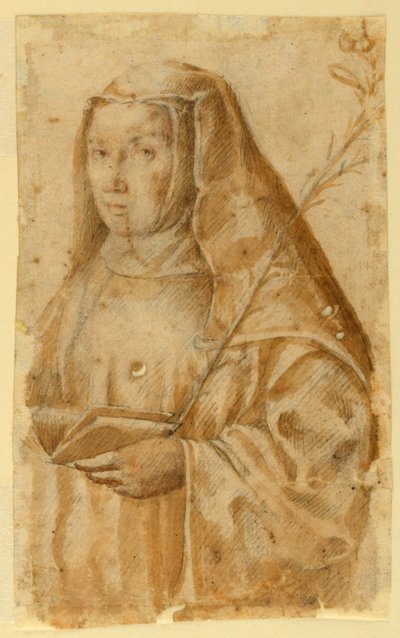 Portrét svaté Kateřiny Sienské od Unknown artist