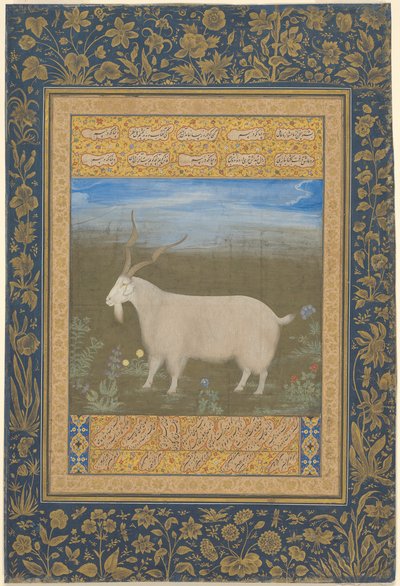 Portrét ladackého horského kozla od Unknown artist