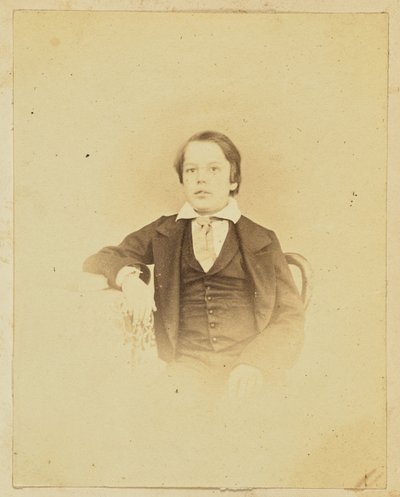 [Portrét mladého chlapce] od Unknown artist