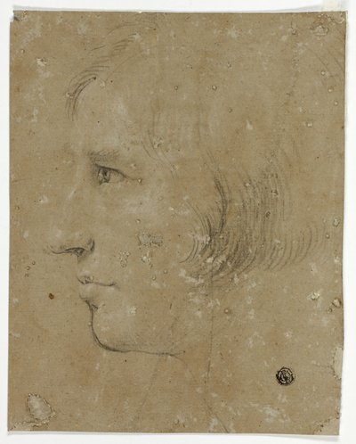 Profil muže od hlavy doleva od Unknown artist