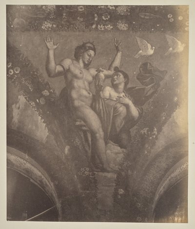 Psyché předá hrnec Venuši od Unknown artist