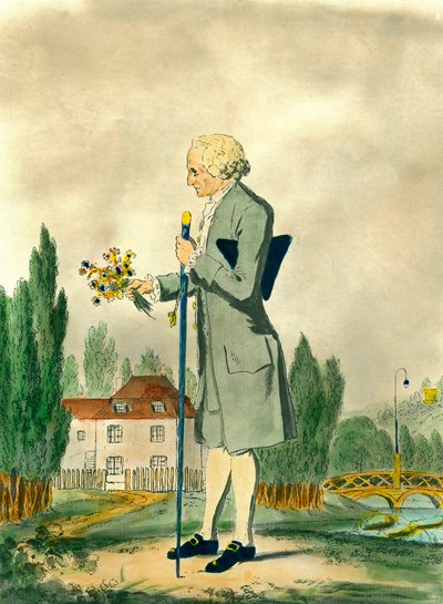 Zastoupení švýcarského filozofa Jeana Jacquese Rousseaua (1712-1778) trhajícího květiny v Ermenonville. Rytina 18. století. Soukromá sbírka. od Unknown artist