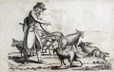 Pastýř se svým stádem ovcí. Rytina konce 18. století. Soukromá sbírka. od Unknown artist