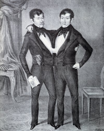 siamský od Unknown artist