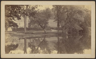 [Silverspring Pond] od Unknown artist