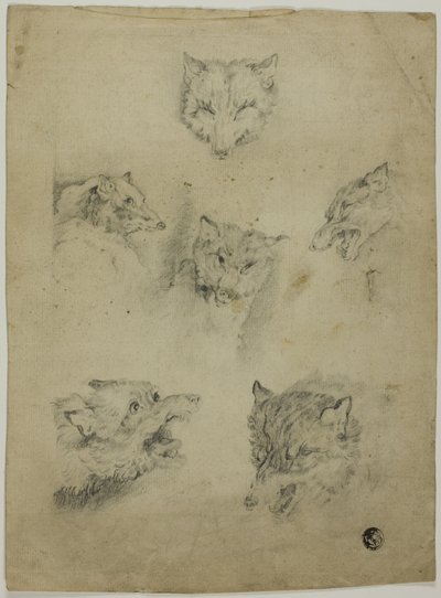 Šest náčrtů vlčích hlav od Unknown artist