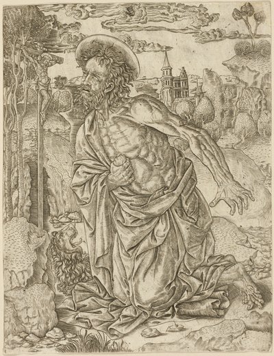 Svatý Jeroným v Pokání od Unknown artist