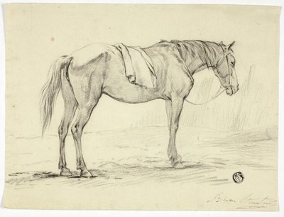Stojící kůň od Unknown artist